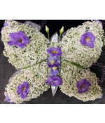 Gyp Butterfly funerals Flowers